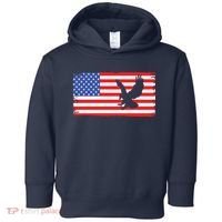 American Flag Flying Eagle Toddler Hoodie thumb 0
