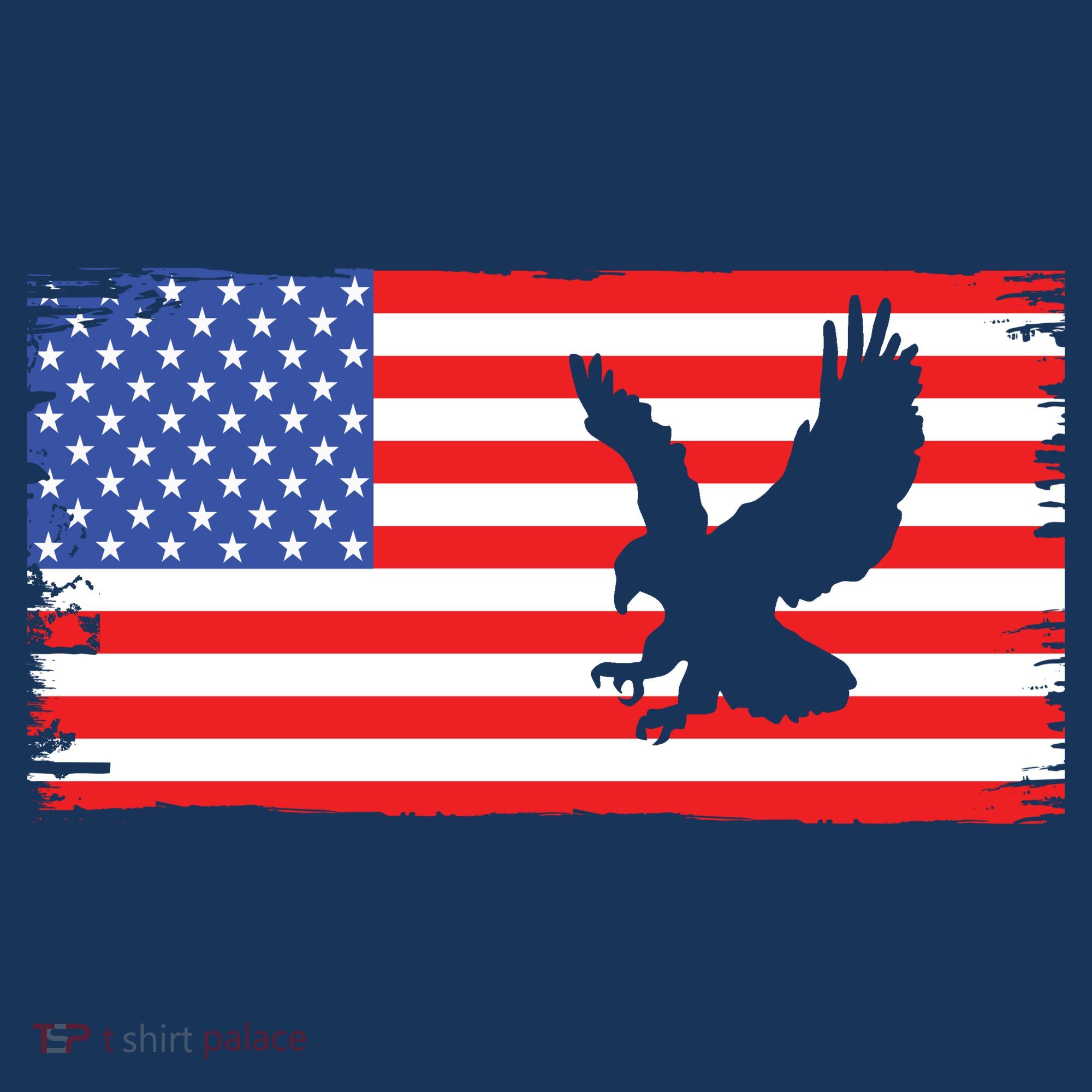 American Flag Flying Eagle Women's T-Shirt