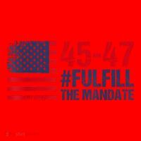 American Flag Fulfill The Mandate 45 47 Santa Hat thumb 1