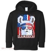 American Flag Funny 4th Of July Llamerica Toddler Hoodie thumb 0
