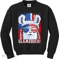 American Flag Funny 4th Of July Llamerica Kids Sweatshirt thumb 0