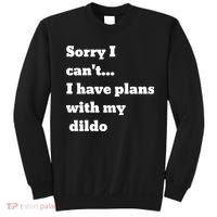 A Funny Gift Sorry I Can't I Have Plans With My Dildo Sweatshirt thumb 0