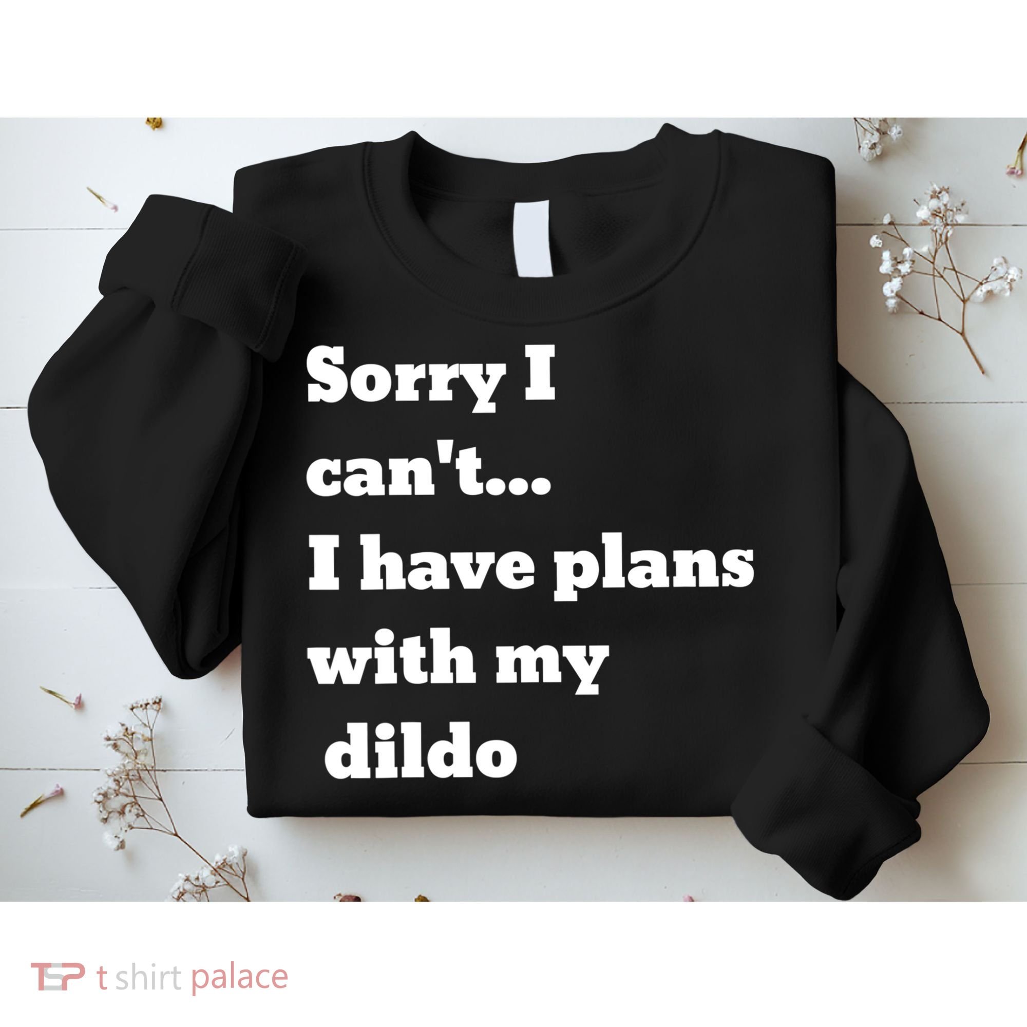 A Funny Gift Sorry I Can't I Have Plans With My Dildo Sweatshirt