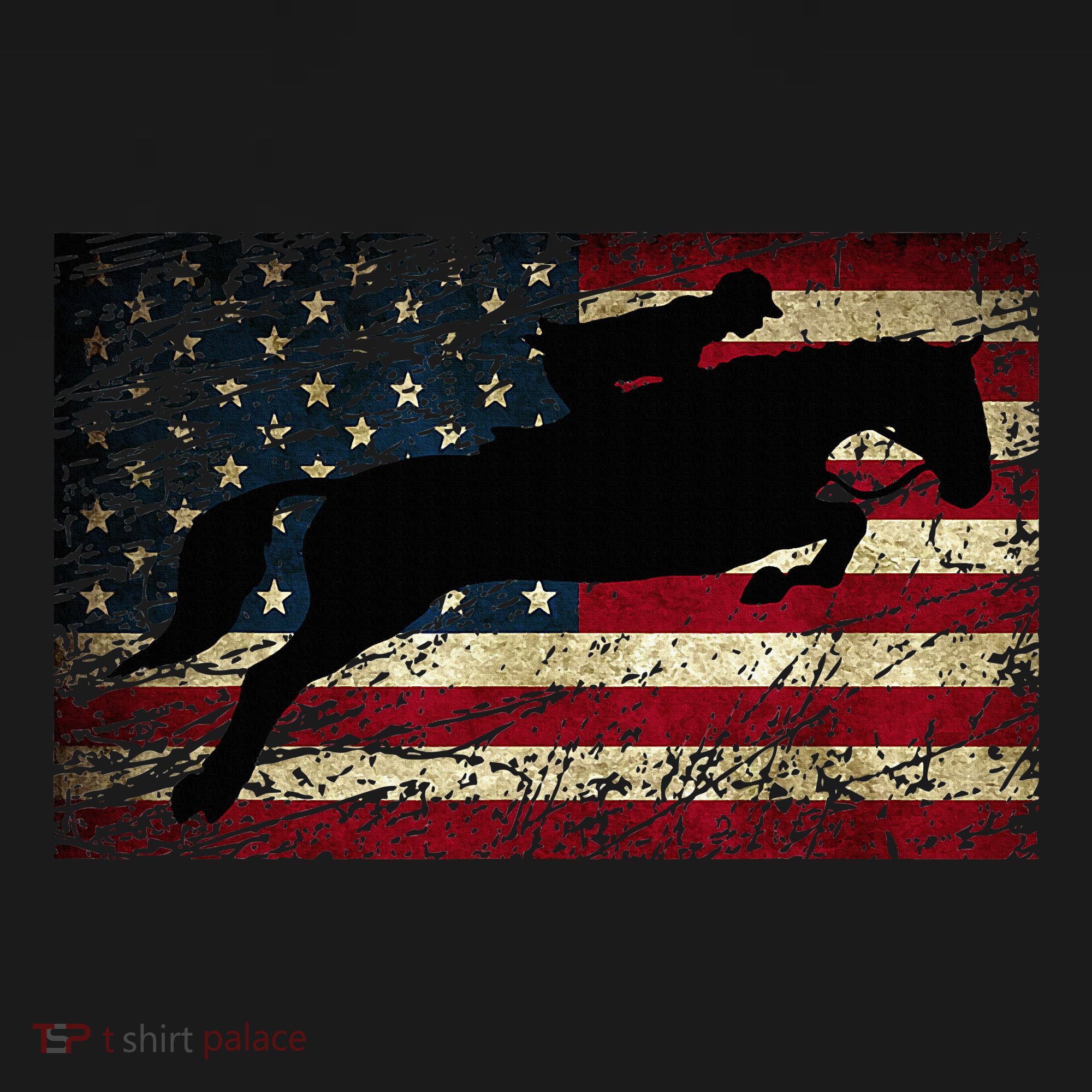 American Flag Horse Riding Show Jumping Women's Hoodie