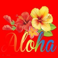 Aloha Floral Hawaiian Tropical Santa Hat thumb 1