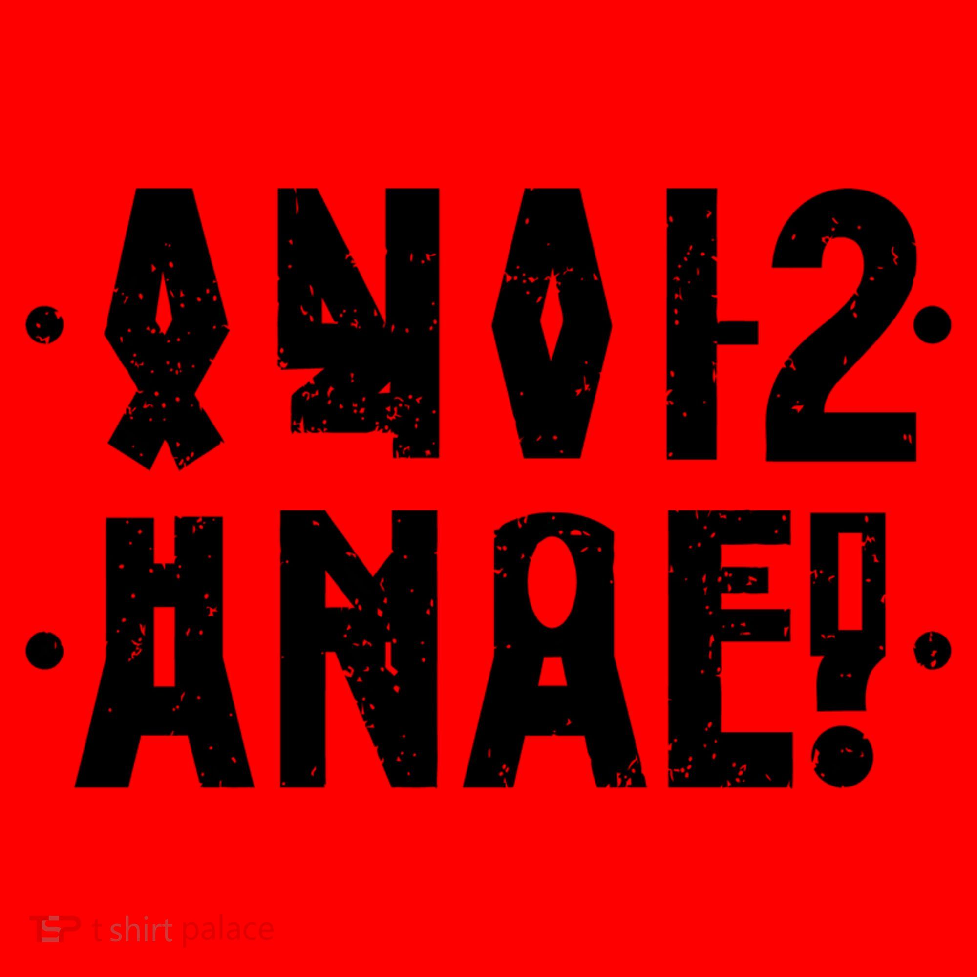 Anal Funny Hidden Message Anal? Distressed Santa Hat