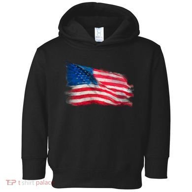 American Flag Independence Day Toddler Hoodie