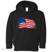 American Flag Independence Day Toddler Hoodie thumb 0