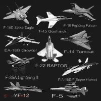 American Fighters Jets F22 Raptor F14 Tomcat Plane Women's Hoodie thumb 2
