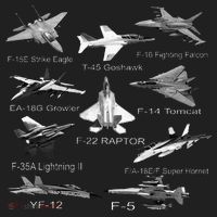 American Fighters Jets F22 Raptor F14 Tomcat Plane Hat thumb 2