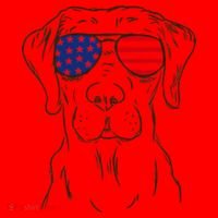 American Flag Labrador Retriever Patriotic 4th Of July Gifts Santa Hat thumb 1