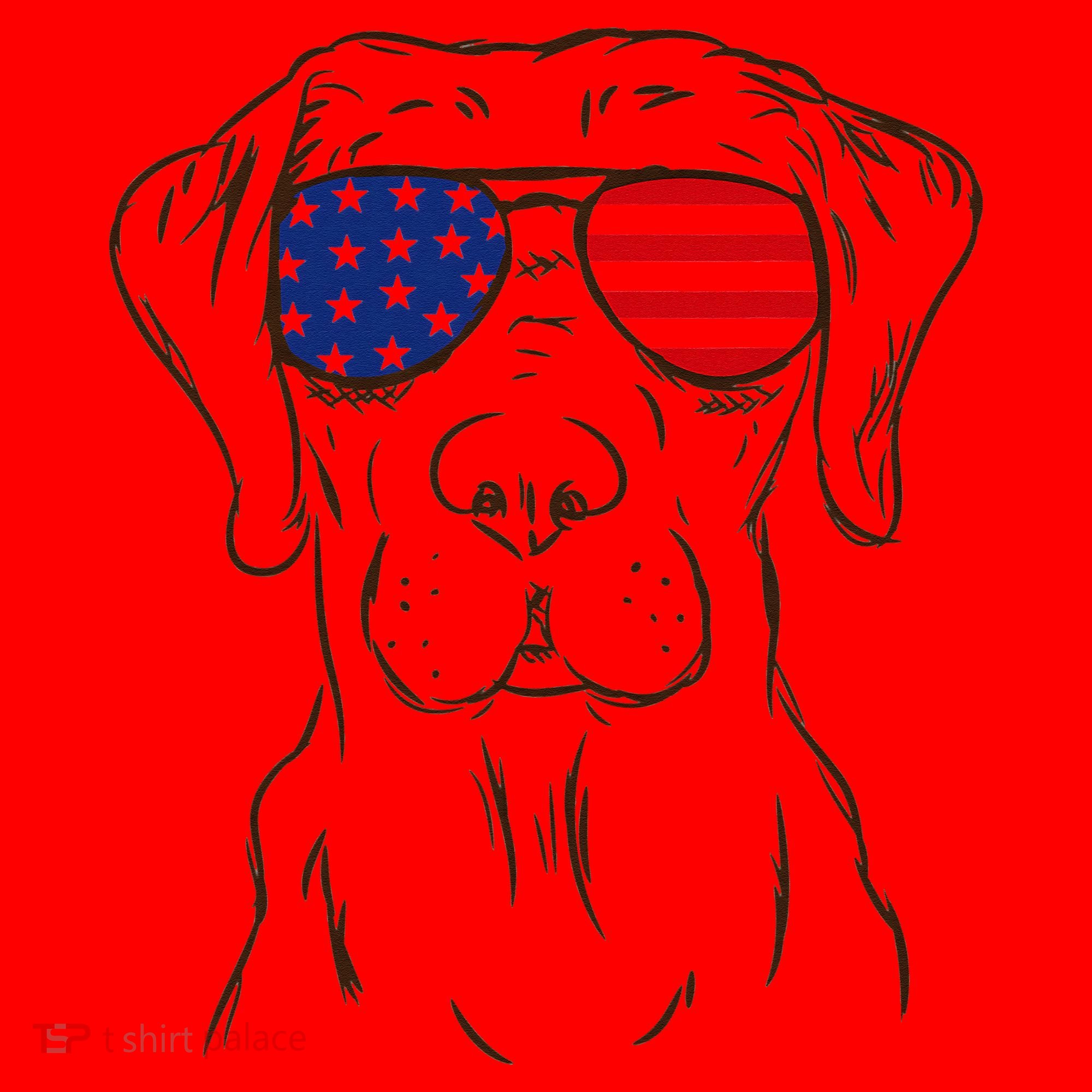 American Flag Labrador Retriever Patriotic 4th Of July Gifts Santa Hat
