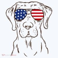 American Flag Labrador Retriever Patriotic 4th Of July Gifts Hat thumb 2