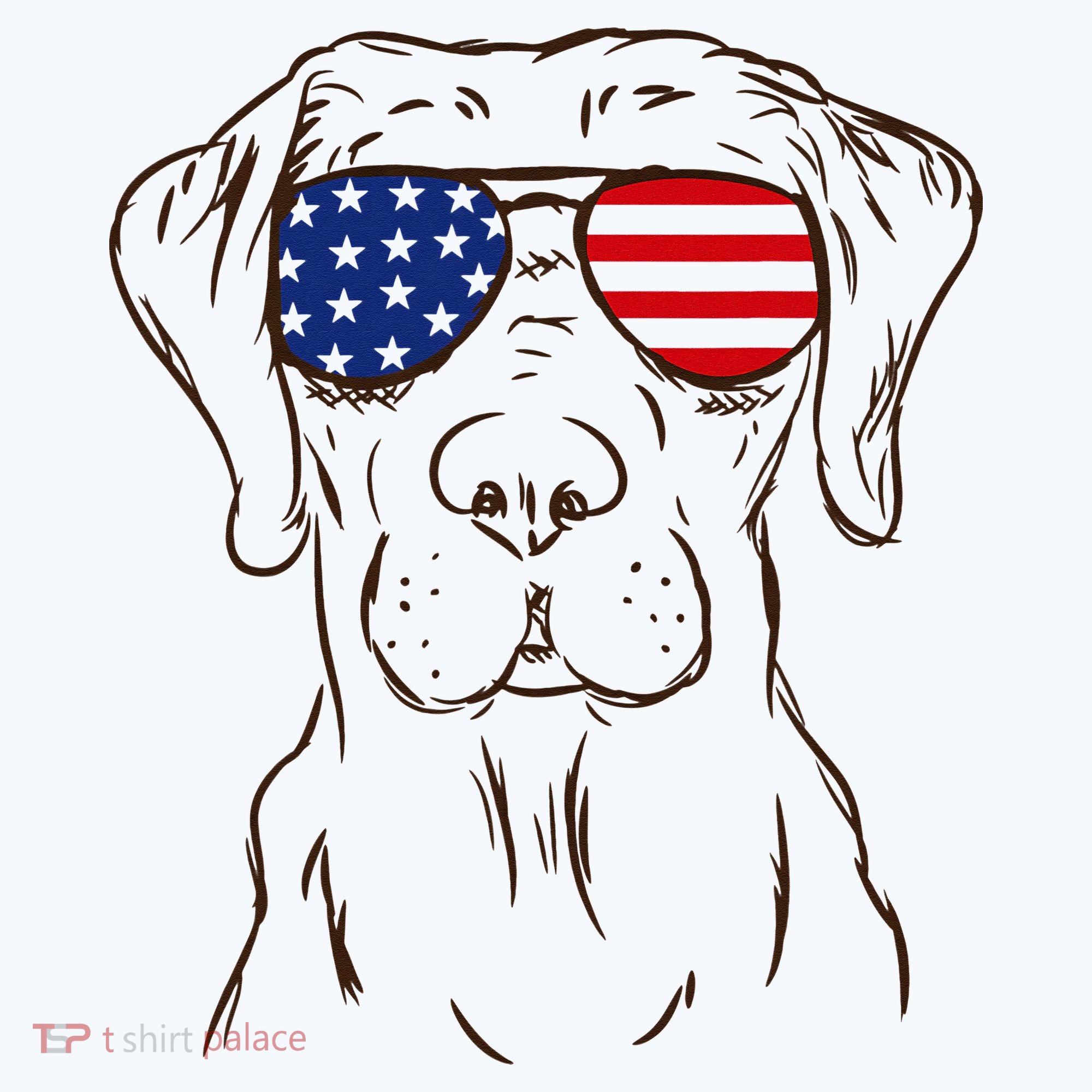 American Flag Labrador Retriever Patriotic 4th Of July Gifts Hat
