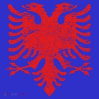Albanian Flag Meaningful Gift Red Eagle Albania Cool Gift Cool Gift Sweatshirt thumb 3