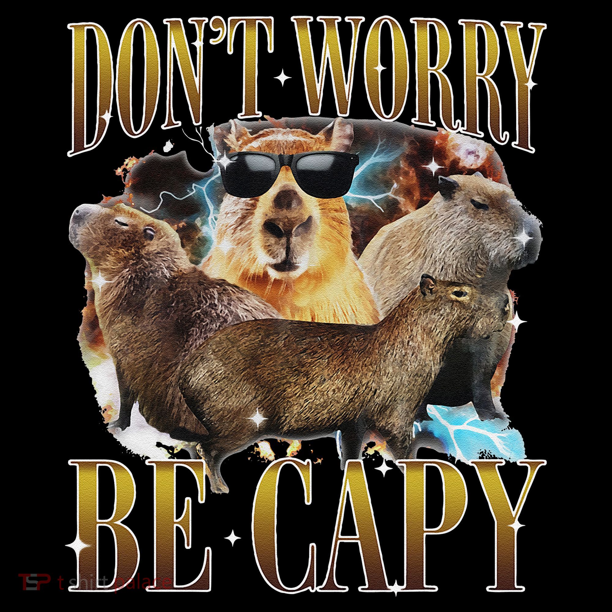 Animals Funny Meme DonT Worry Be Capy Capybara Moon Feral Coffee Mug