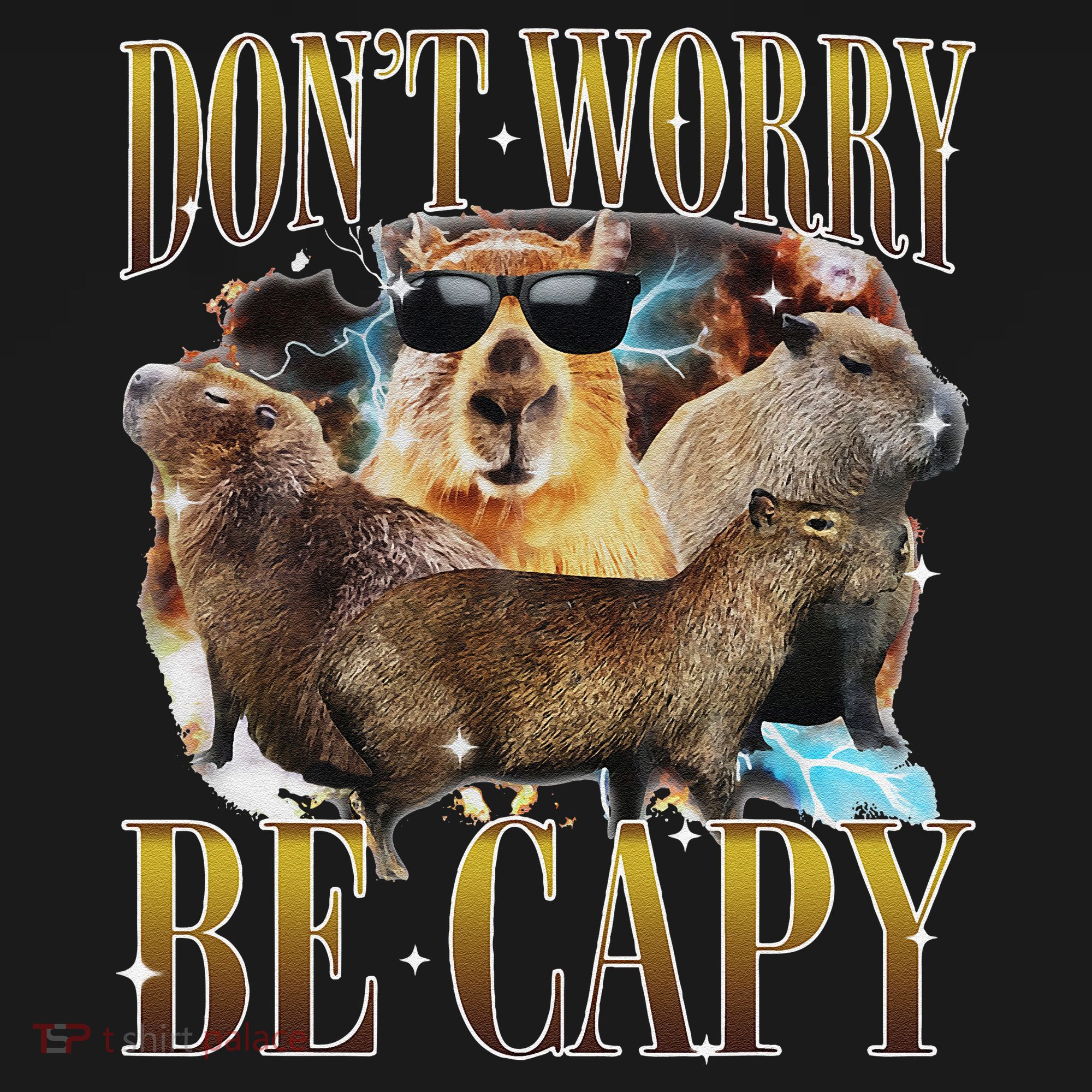 Animals Funny Meme DonT Worry Be Capy Capybara Moon Feral Women's Hoodie