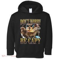 Animals Funny Meme DonT Worry Be Capy Capybara Moon Feral Toddler Hoodie thumb 0