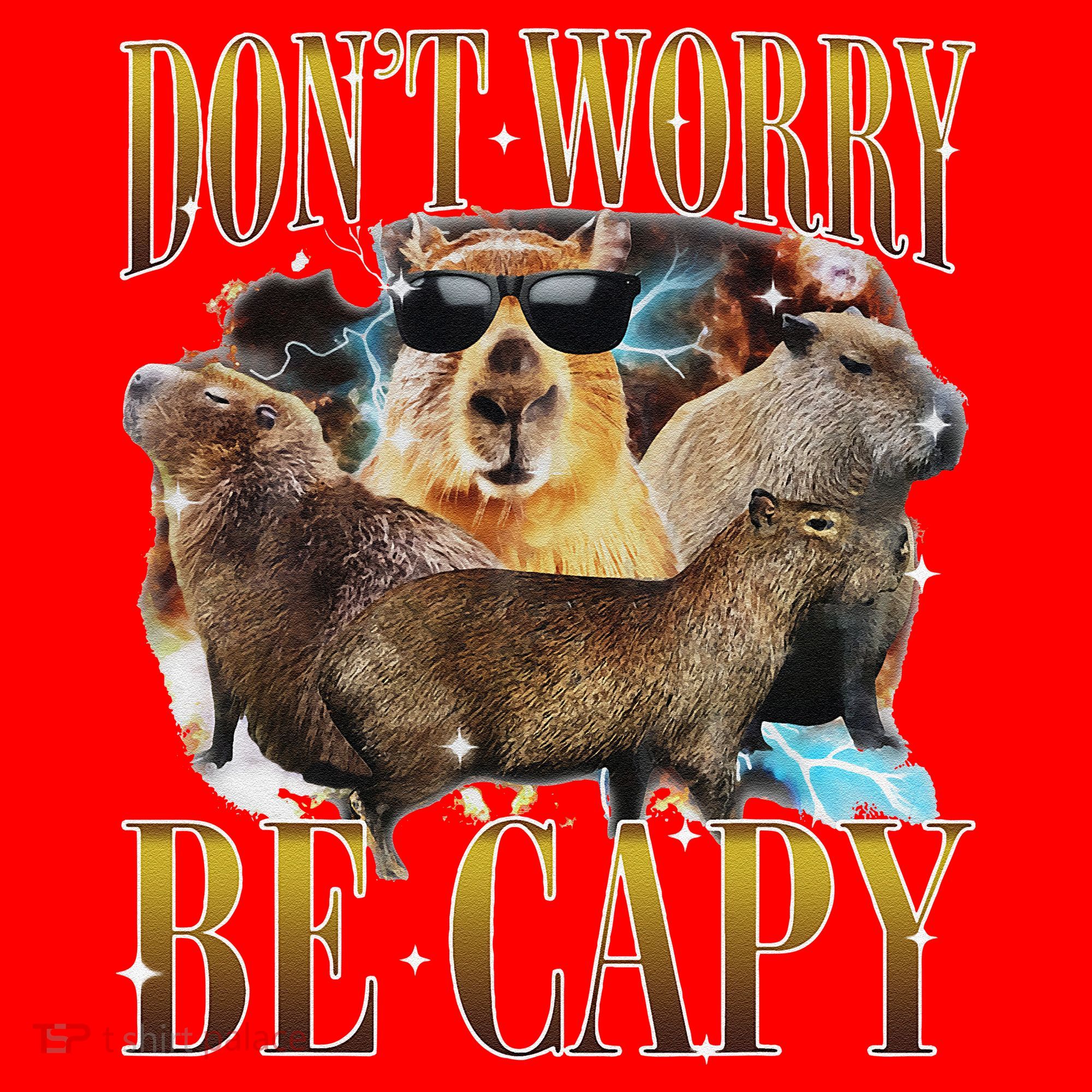 Animals Funny Meme DonT Worry Be Capy Capybara Moon Feral Santa Hat