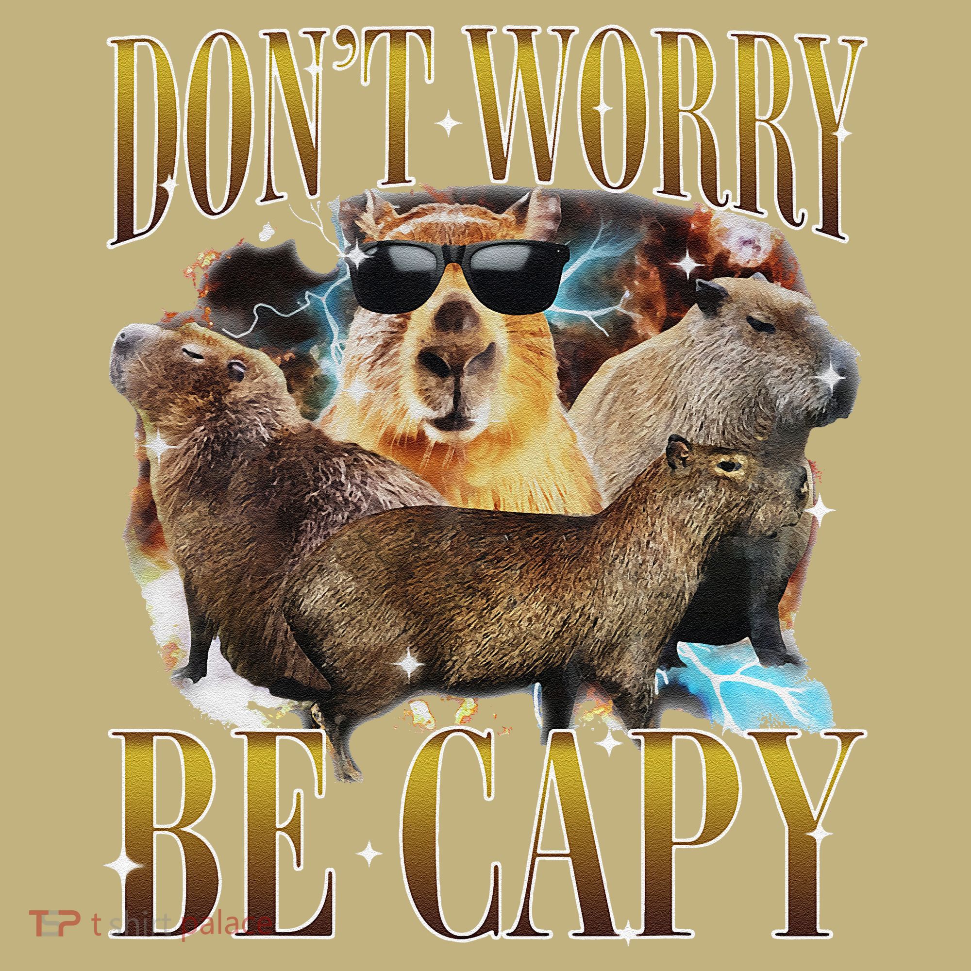 Animals Funny Meme DonT Worry Be Capy Capybara Moon Feral Sweatshirt
