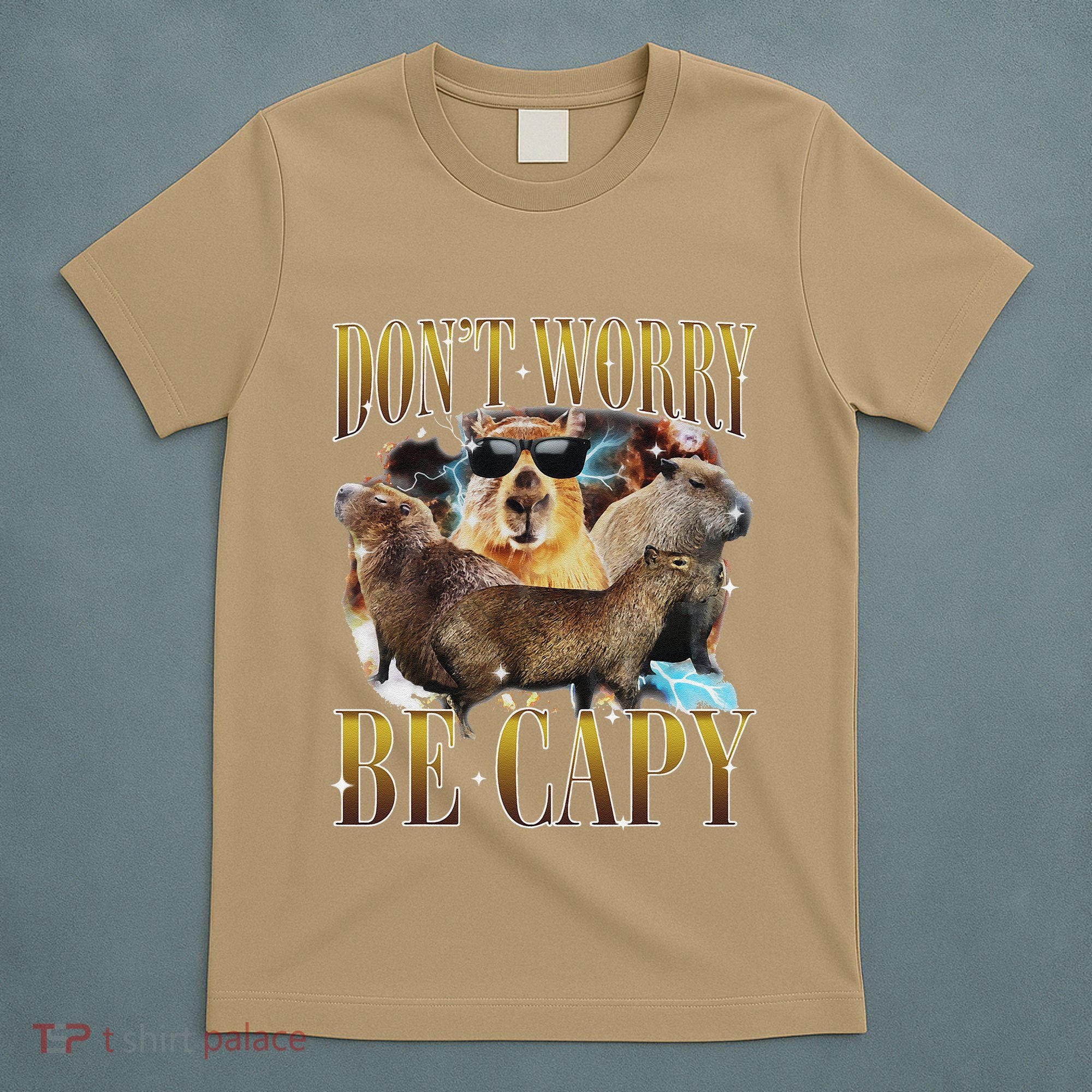 Animals Funny Meme DonT Worry Be Capy Capybara Moon Feral T-Shirt