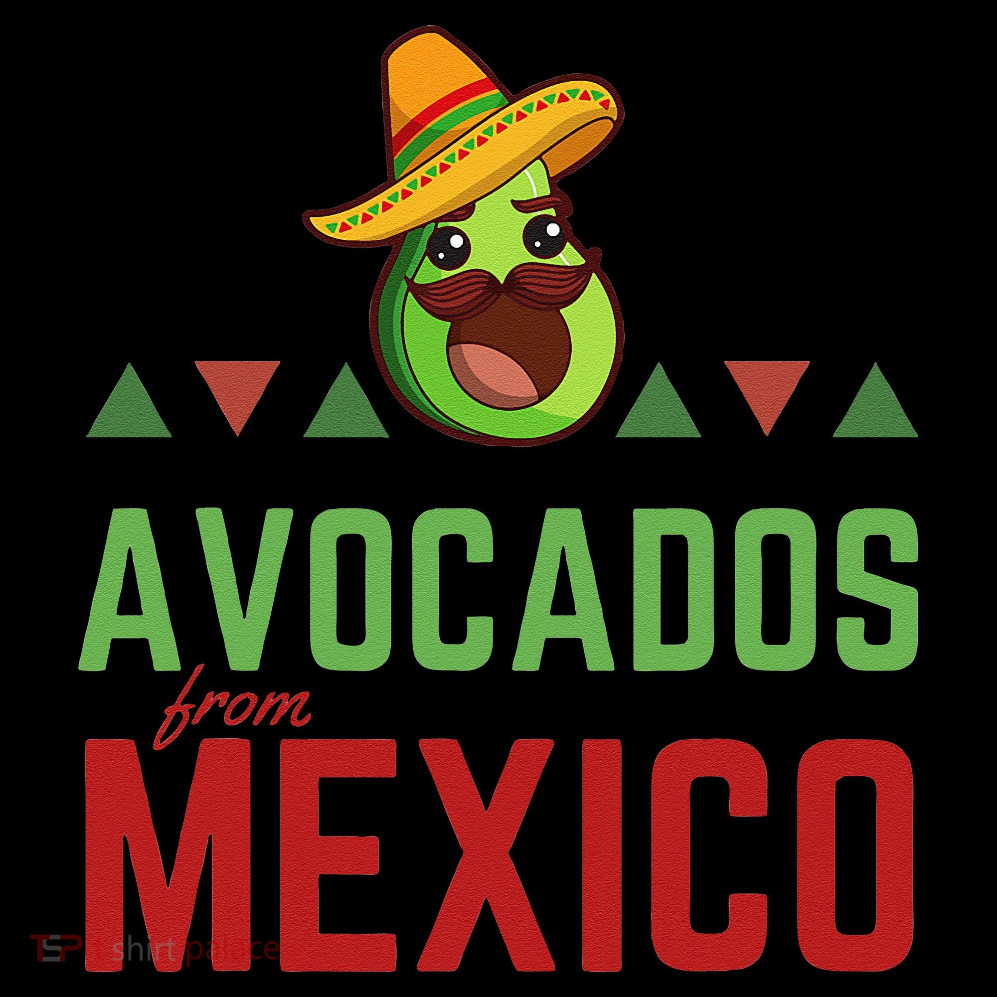 Avocados From Mexico Mexican Day Flag Avocado Costume T-Shirt