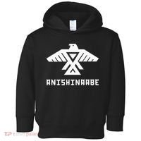 Anishinaabe First Nations Thunderbird Ojibwe Indigenous Toddler Hoodie thumb 0