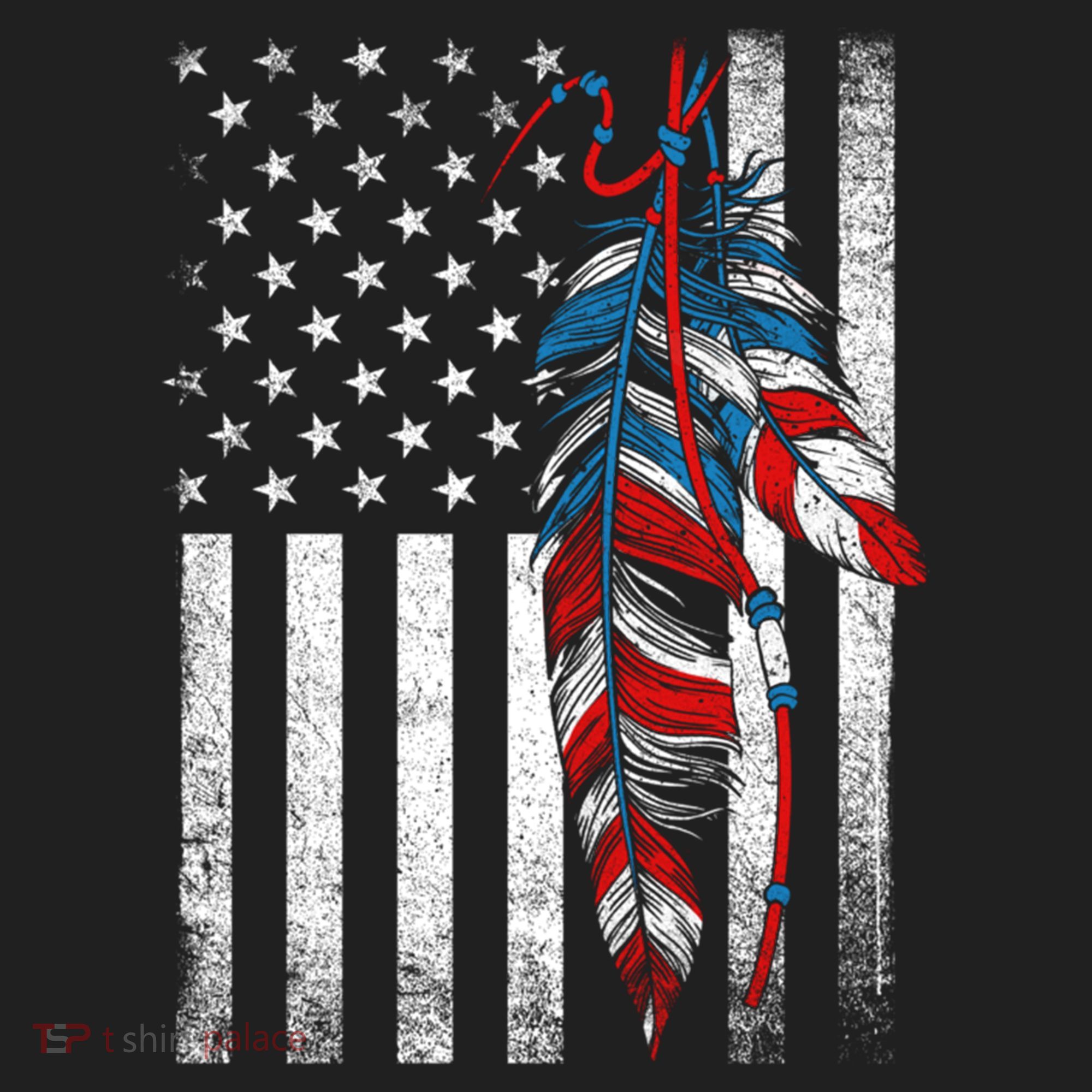 American Flag - Native Feather Month Indigenous Funny Gift Hat
