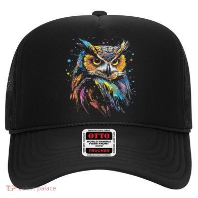 Artwork Fantasy Owl Bird Hat