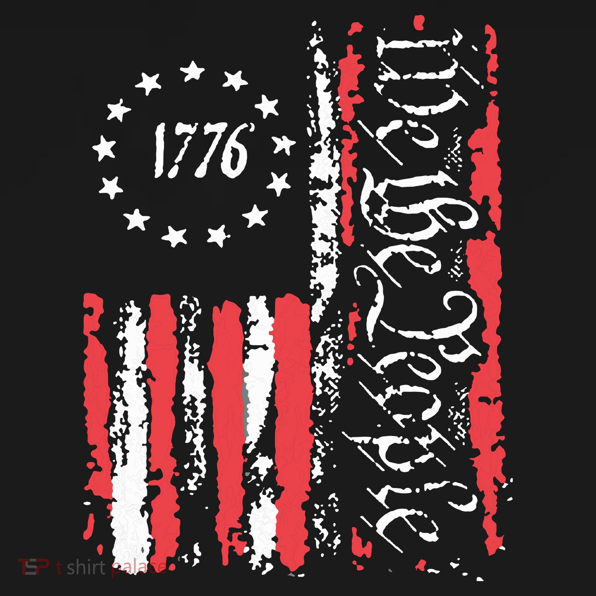 American Flag Patriotic 1776 We The People Usa Sweatshirt