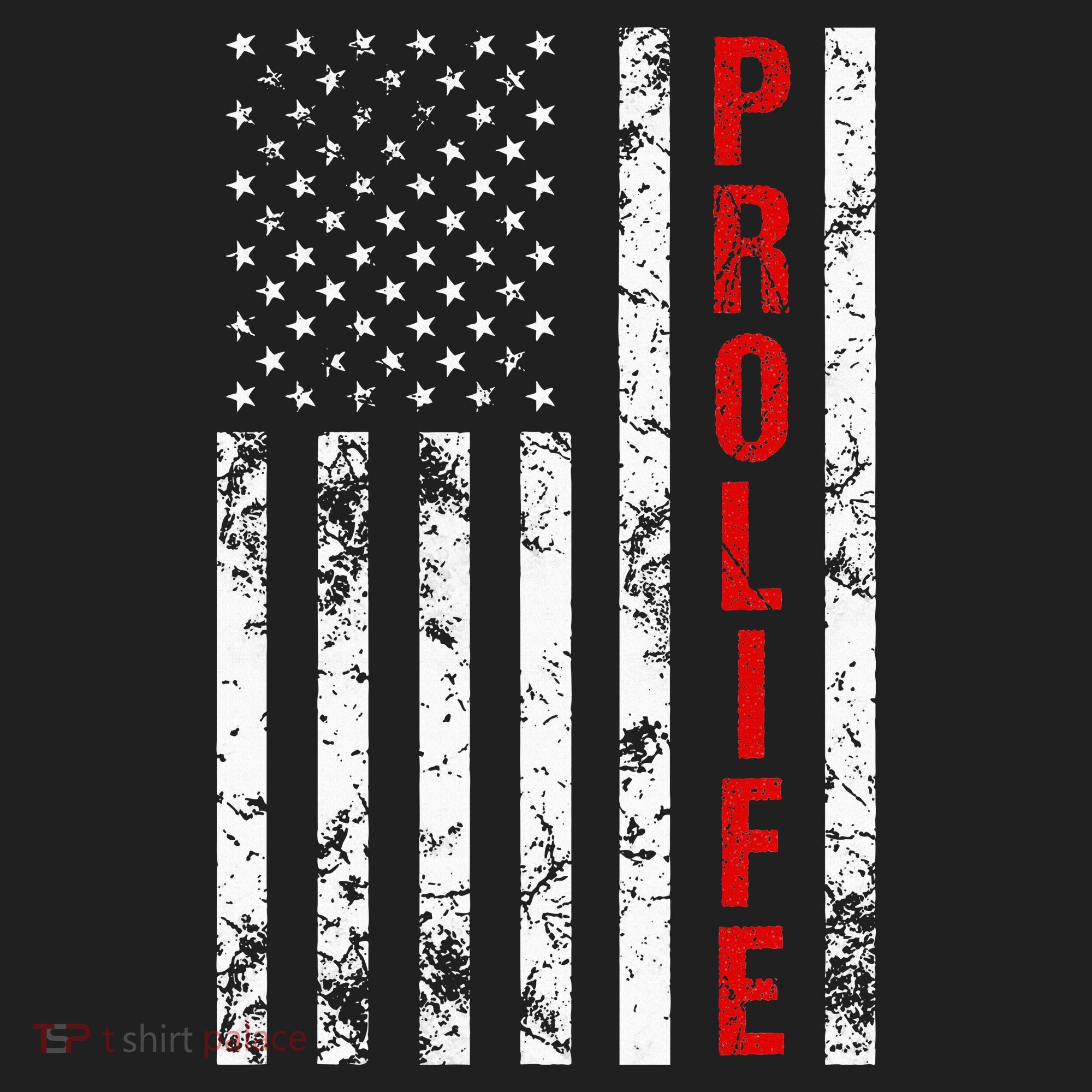 American Flag Pro Life Beanie