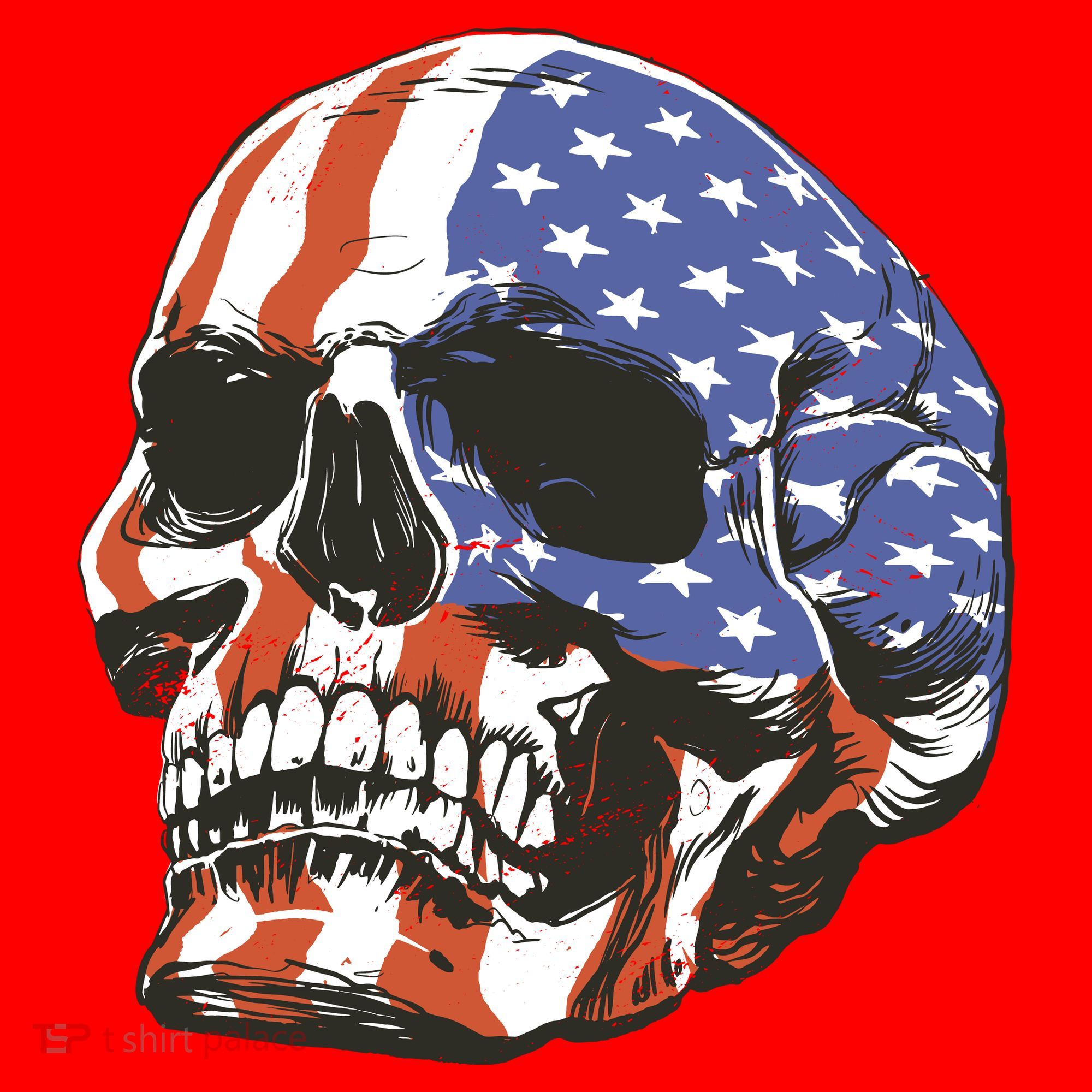 American Flag Patriotic Skull Santa Hat