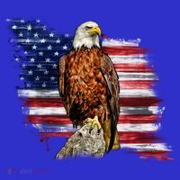 American Flag Patriotic Eagle Vintage T-Shirt thumb 7