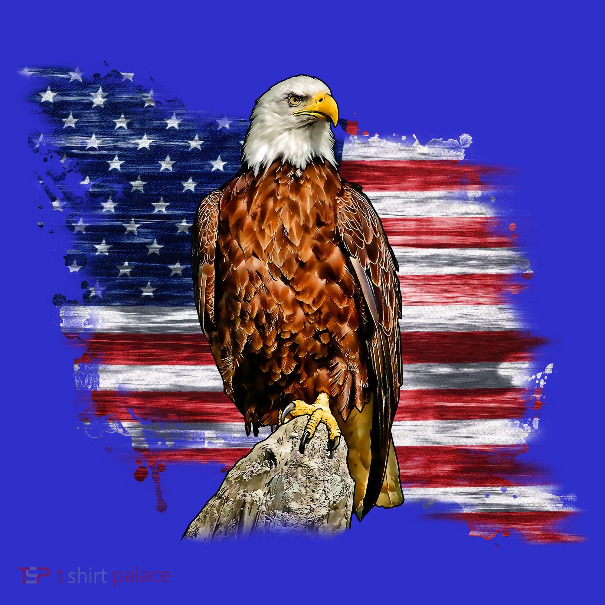 American Flag Patriotic Eagle Vintage T-Shirt
