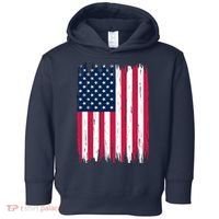 American Flag Patriotic 4th of July Independence Day Toddler Hoodie thumb 0