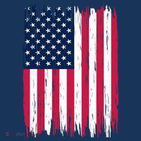 American Flag Patriotic 4th of July Independence Day Toddler Hoodie thumb 2