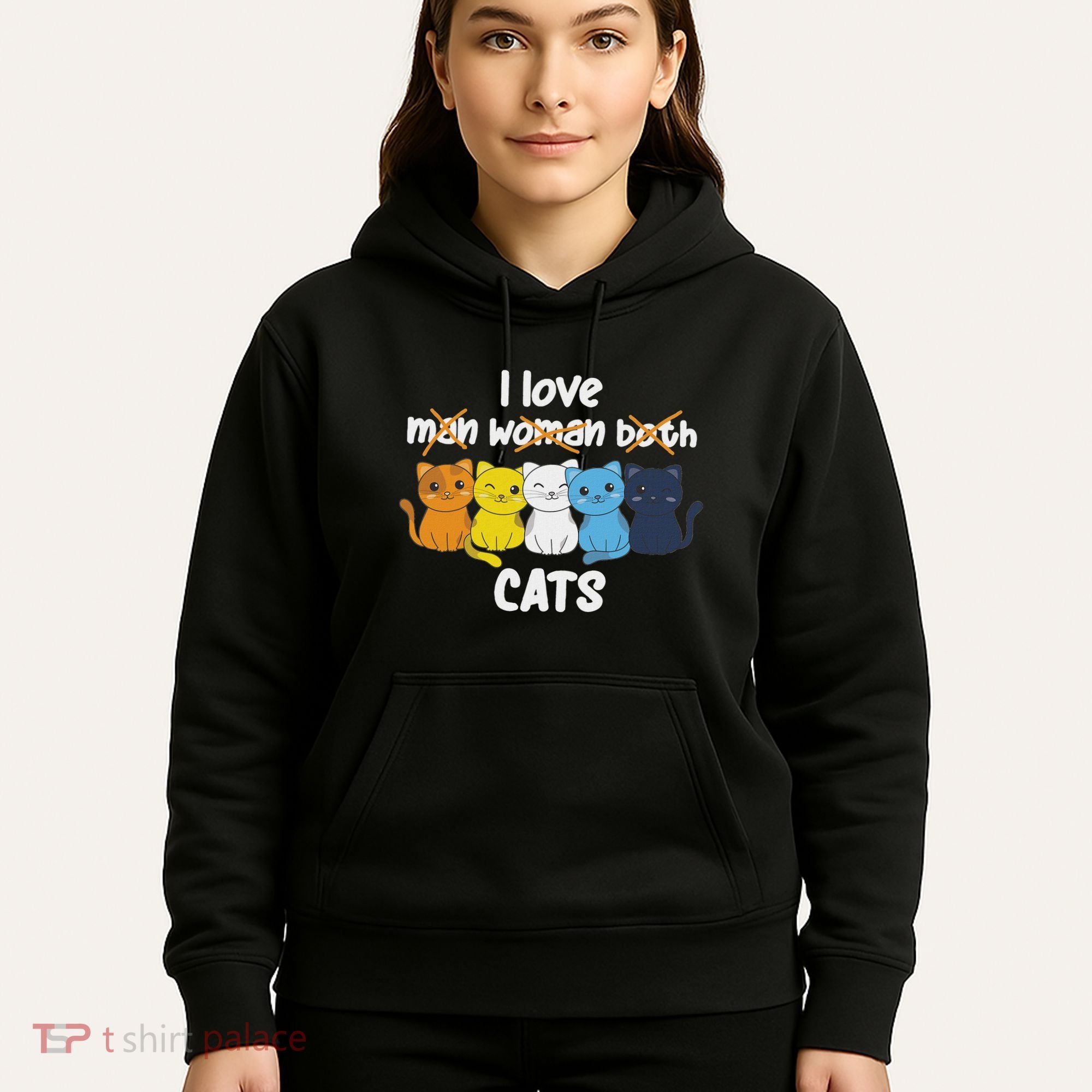 Aroace Flag Pride Lgbtq Cats Cute Aroace Cat Hoodie