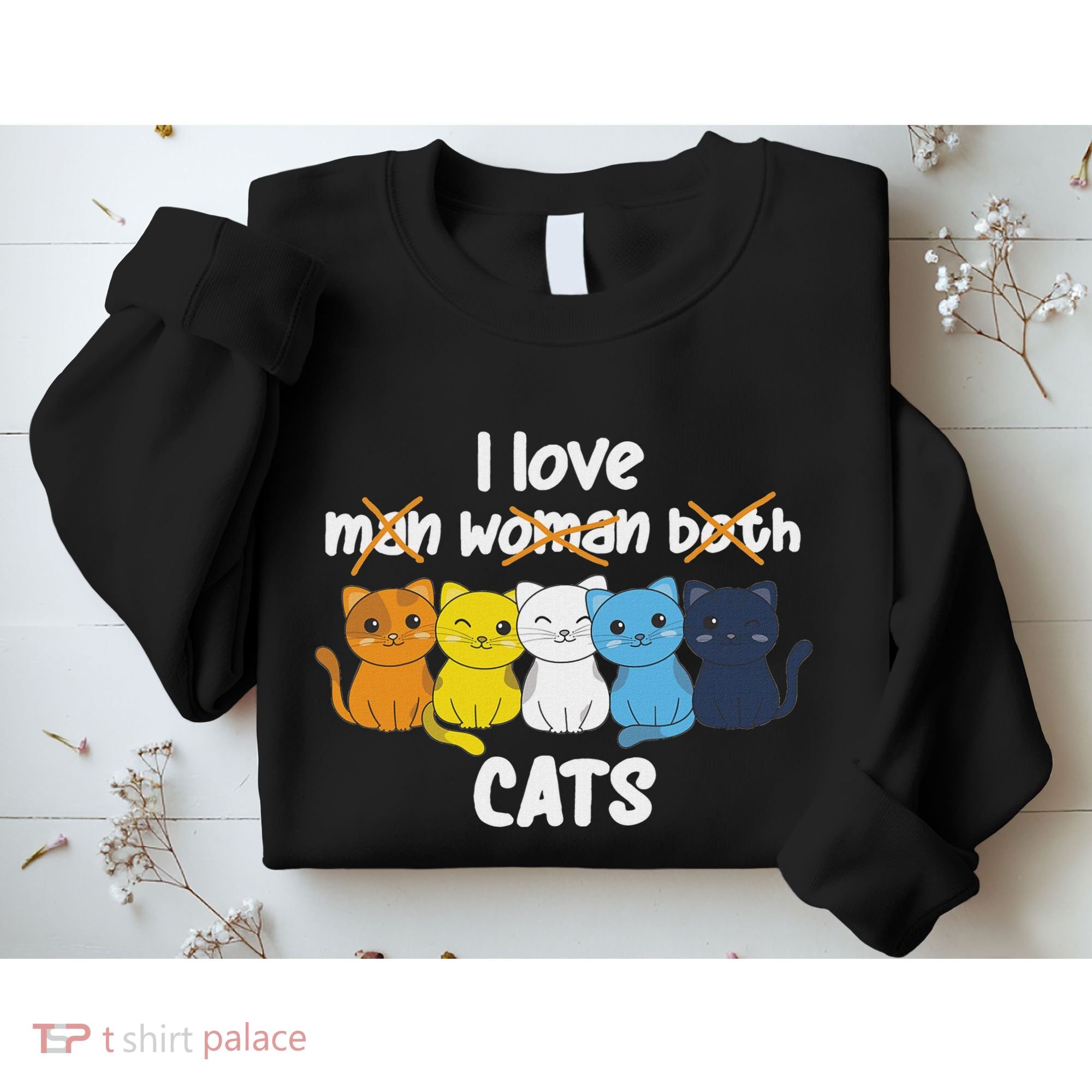 Aroace Flag Pride Lgbtq Cats Cute Aroace Cat Sweatshirt