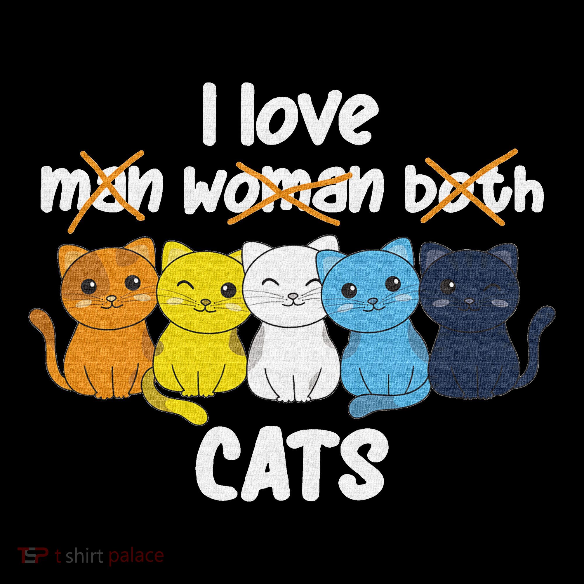 Aroace Flag Pride Lgbtq Cats Cute Aroace Cat Women's Hoodie