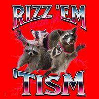 Autism Funny Rizz Em With The Tism Meme Autistic Racoon Santa Hat thumb 1