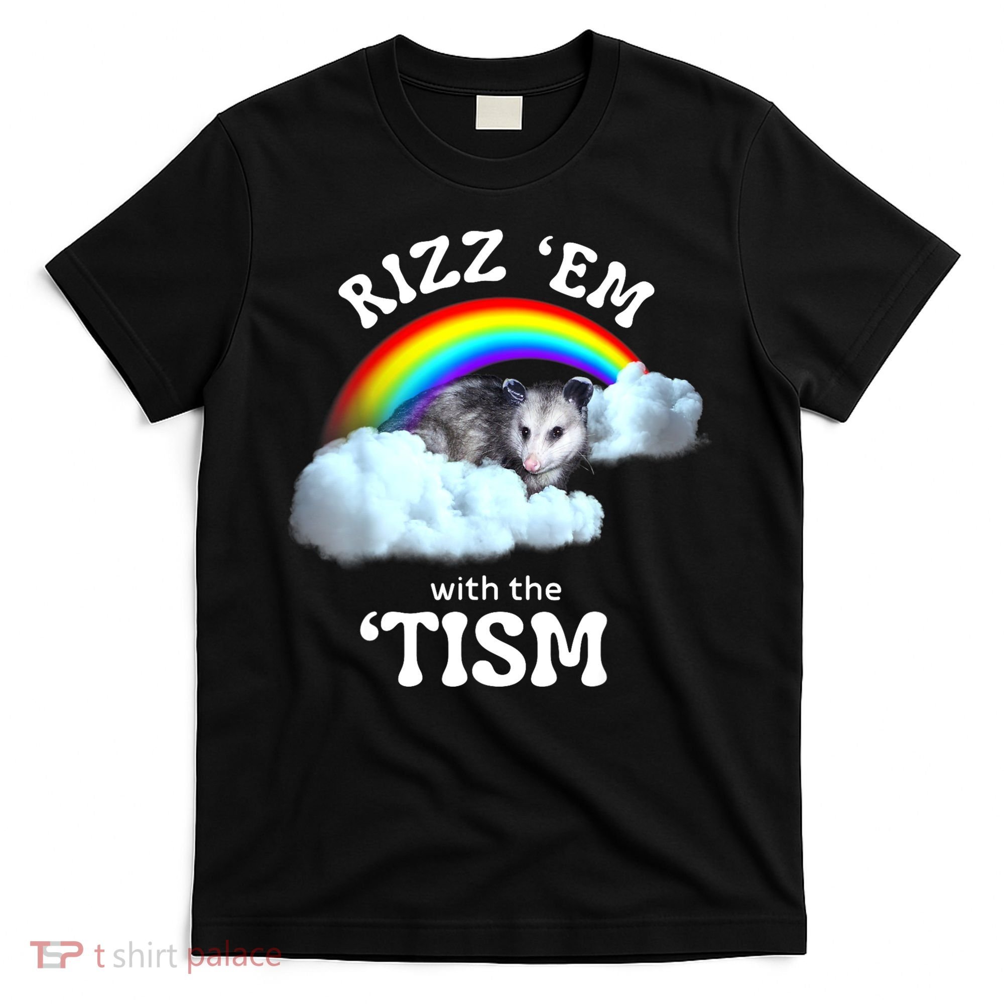 Autism Funny Rizz Em With The Tism Meme Autistic Opossum T-Shirt