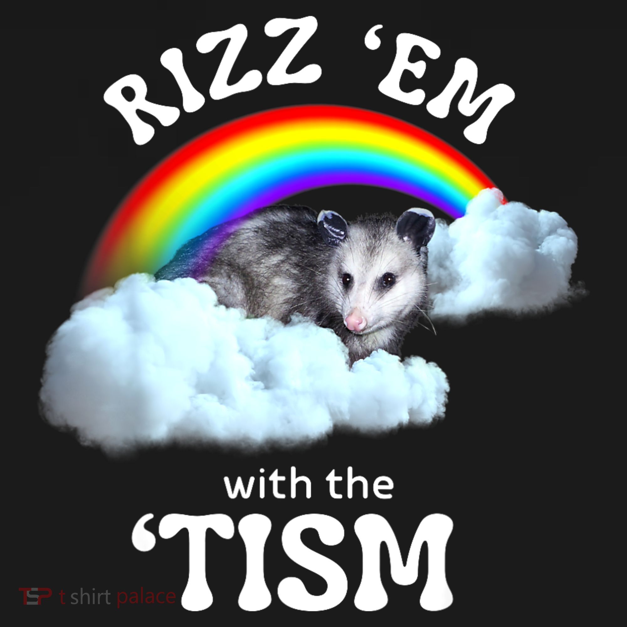 Autism Funny Rizz Em With The Tism Meme Autistic Opossum T-Shirt