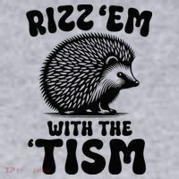 Autism Funny Rizz Em With The Tism Meme Autistic Hodgehog Women's Sweatshirt thumb 2