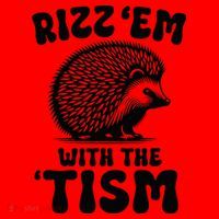 Autism Funny Rizz Em With The Tism Meme Autistic Hodgehog Santa Hat thumb 1