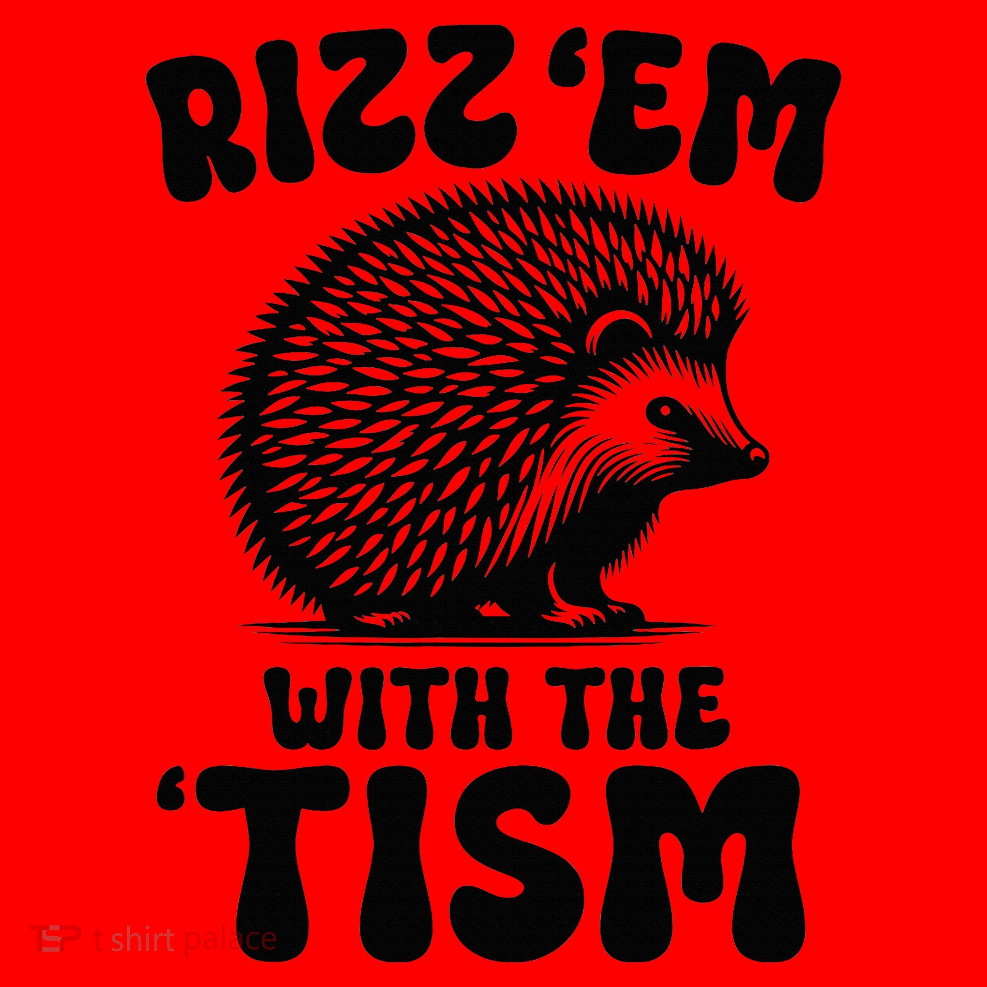 Autism Funny Rizz Em With The Tism Meme Autistic Hodgehog Santa Hat