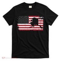 American Flag Retro Alaska 4th Of July Vintage Gift Usa T-Shirt thumb 0