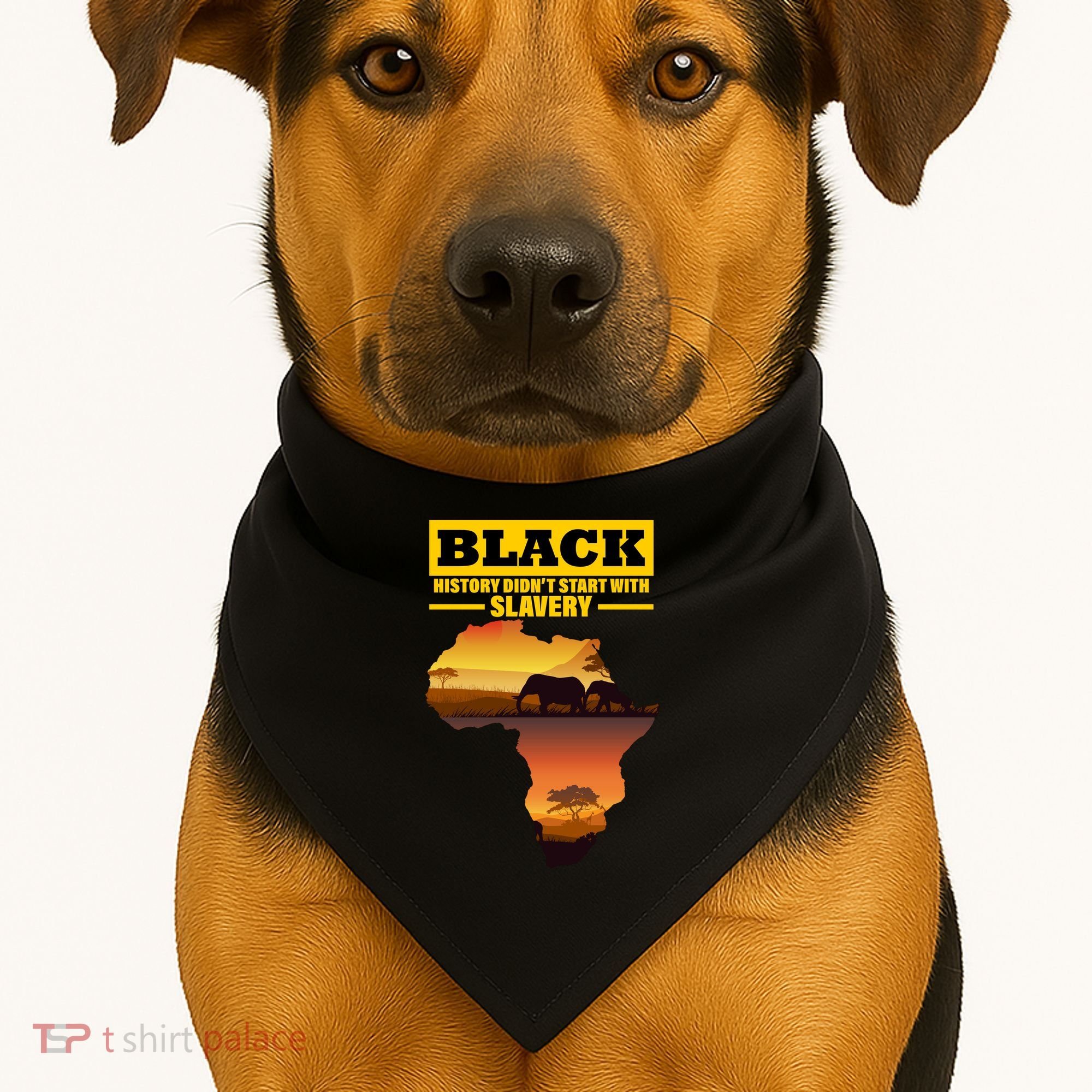 Africa Pride Black History Didn't Start With Slavery USA-Made Doggie Bandana