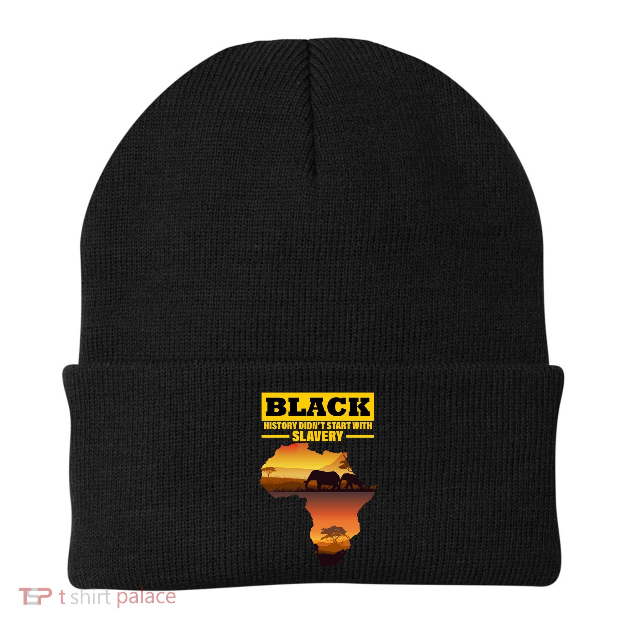 Africa Pride Black History Didn't Start With Slavery Beanie