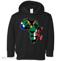 African Lion Flag Toddler Hoodie thumb 0