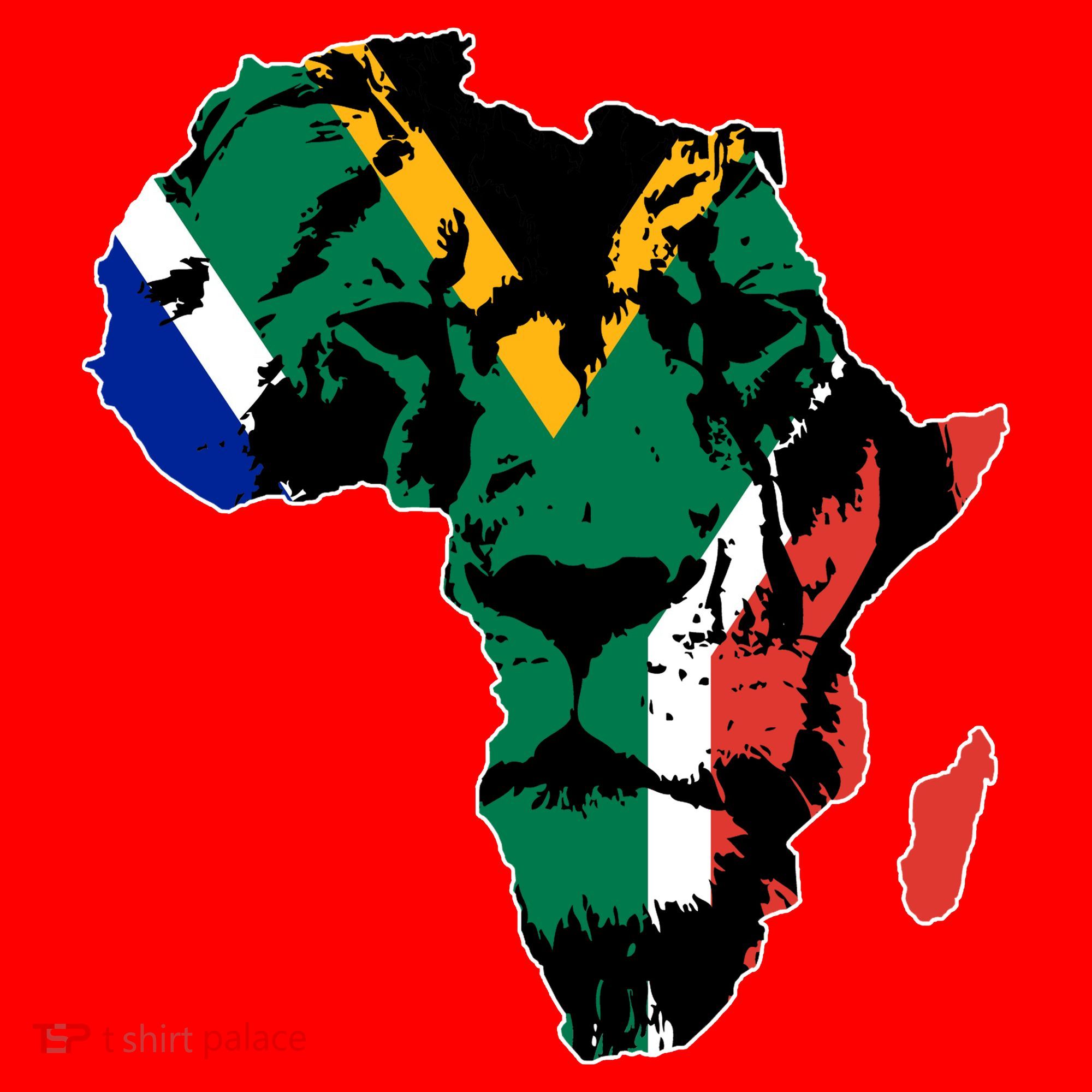 African Lion Flag Santa Hat